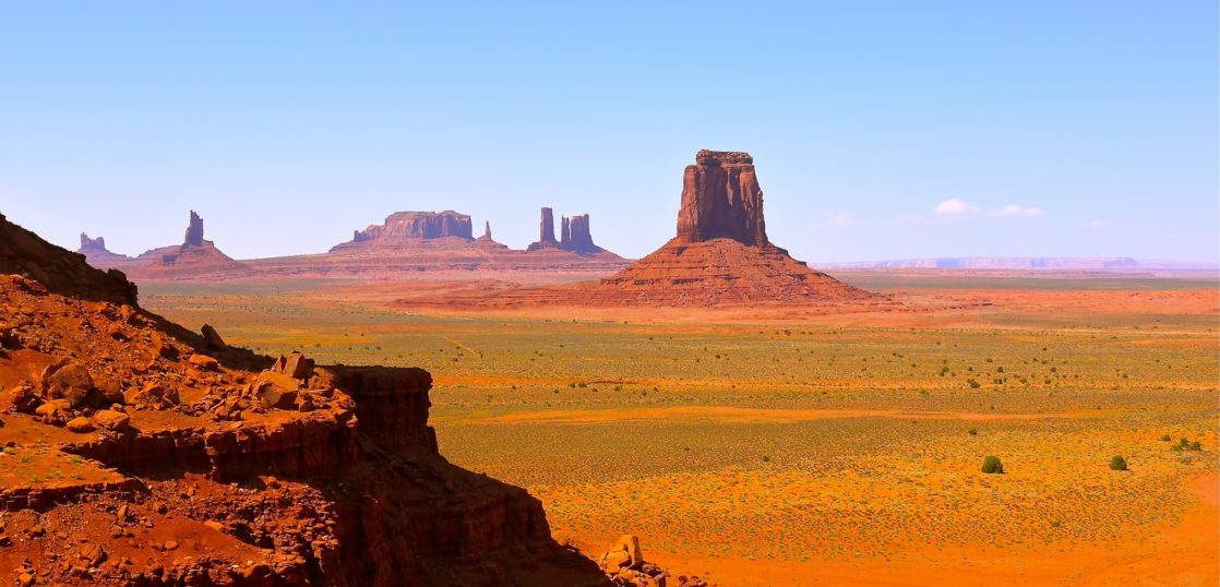 アルガンオイル・アルガンツリー