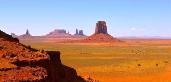 アルガンオイル・アルガンツリー